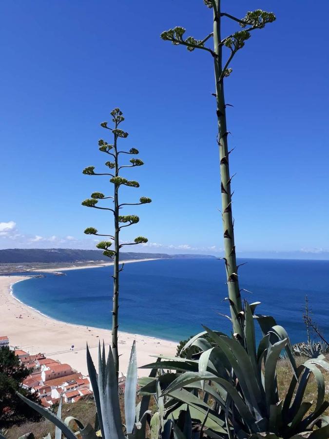 Refugio Villa Mar Назаре Екстериор снимка